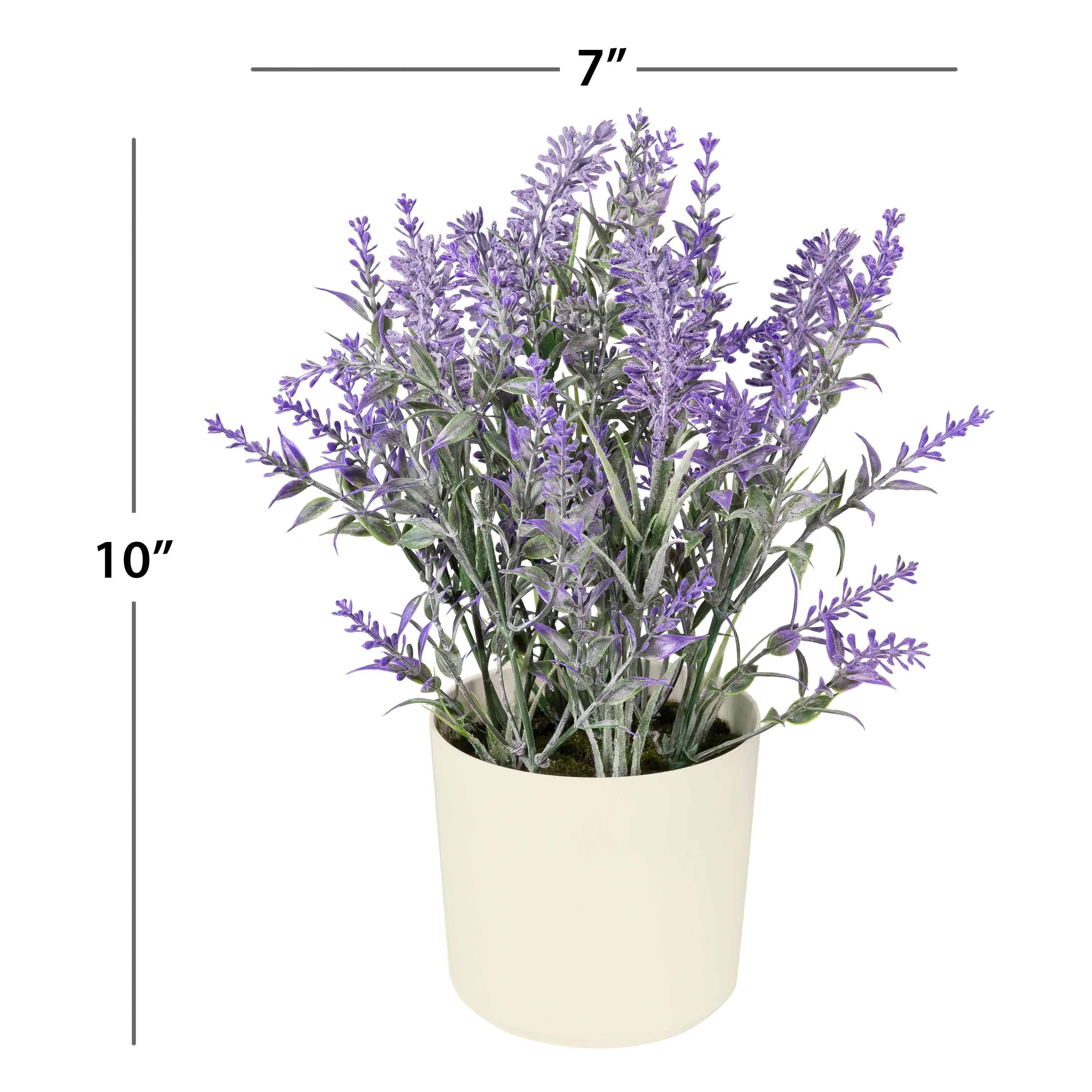 11-inch x 4-inch Artificial Lavender Plant in White Pot, Purple, for Indoor Use, by Mainstays Hand C Mart