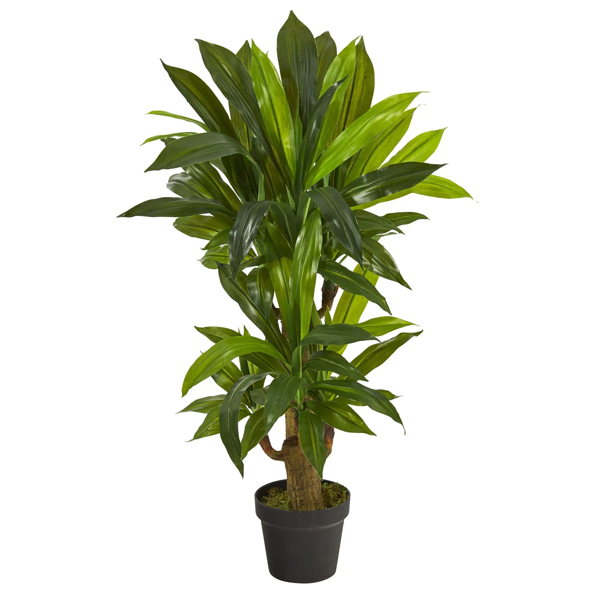 3ft. Corn Stalk Dracaena Artificial Plant (Real Touch) Hand C Mart