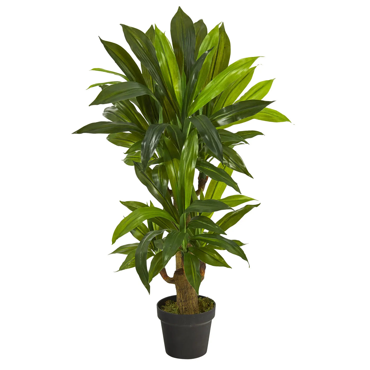 3ft. Corn Stalk Dracaena Artificial Plant (Real Touch) Hand C Mart