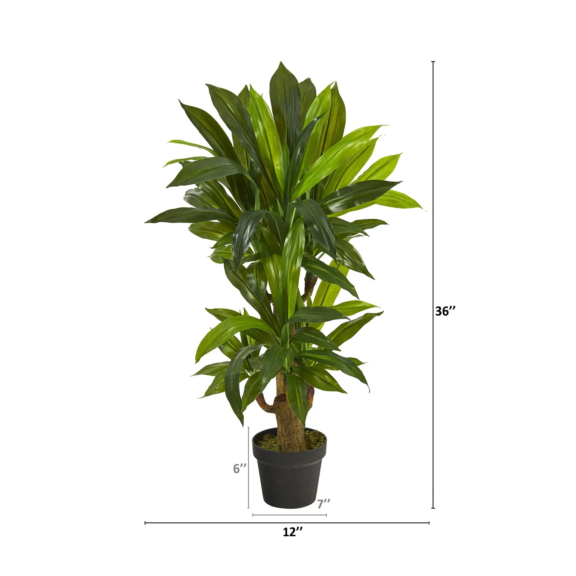 3ft. Corn Stalk Dracaena Artificial Plant (Real Touch) Hand C Mart