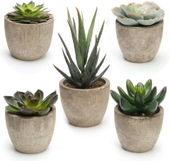 Artificial Succulent Plants, Plutput 5 Fake Succulents Faux Succulent Potted Cactus Cacti Plant with Pots Green Succulents for Home Decor Hand C Mart