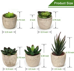 Artificial Succulent Plants, Plutput 5 Fake Succulents Faux Succulent Potted Cactus Cacti Plant with Pots Green Succulents for Home Decor Hand C Mart