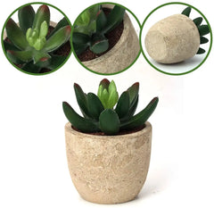 Artificial Succulent Plants, Plutput 5 Fake Succulents Faux Succulent Potted Cactus Cacti Plant with Pots Green Succulents for Home Decor Hand C Mart