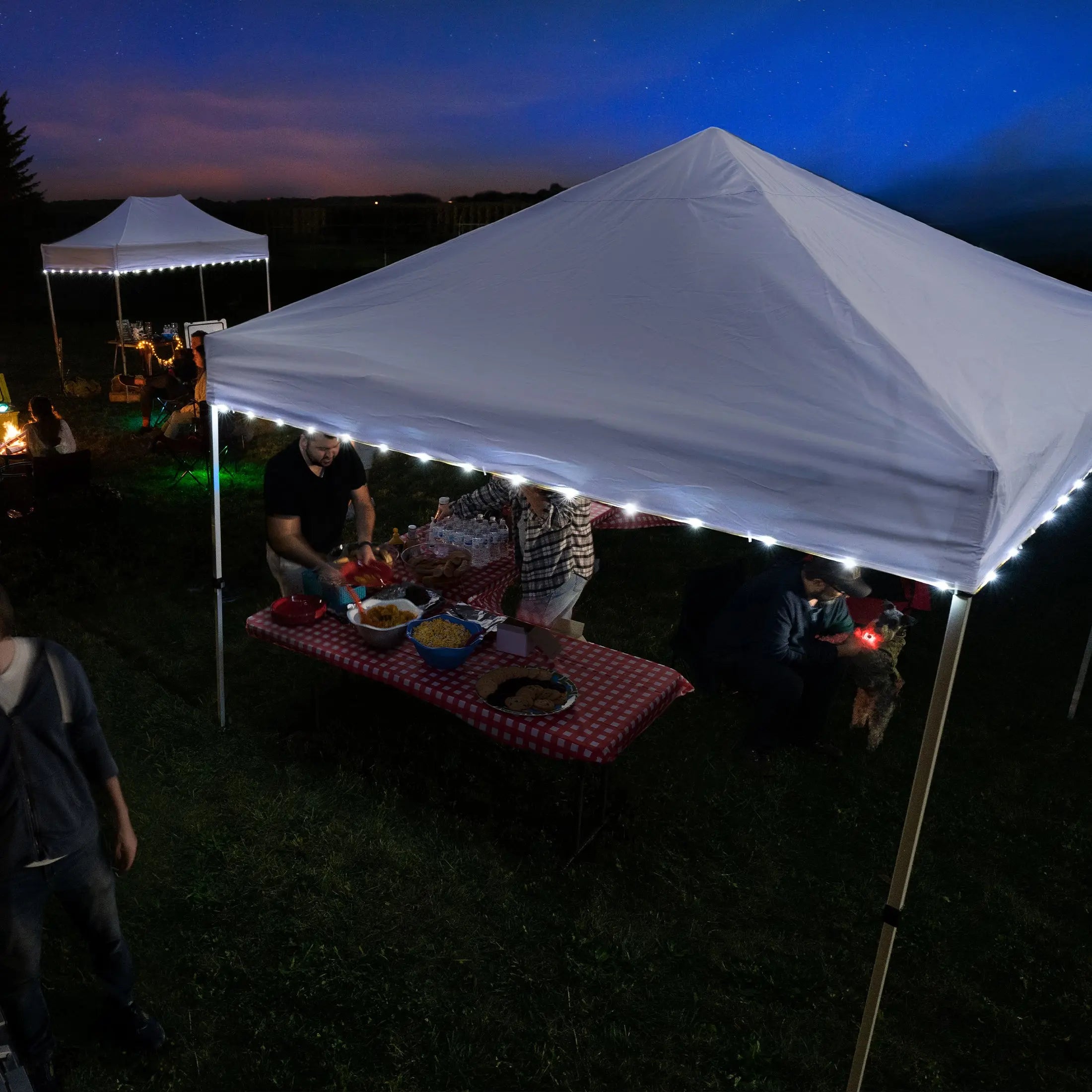 Brightz CanopyBrightz LED Light String for Outdoor Canopies, Battery Operated, White Hand C Mart