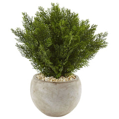 Nearly Natural 2ft. Cedar Artificial Plant in Sand Colored Bowl Hand C Mart