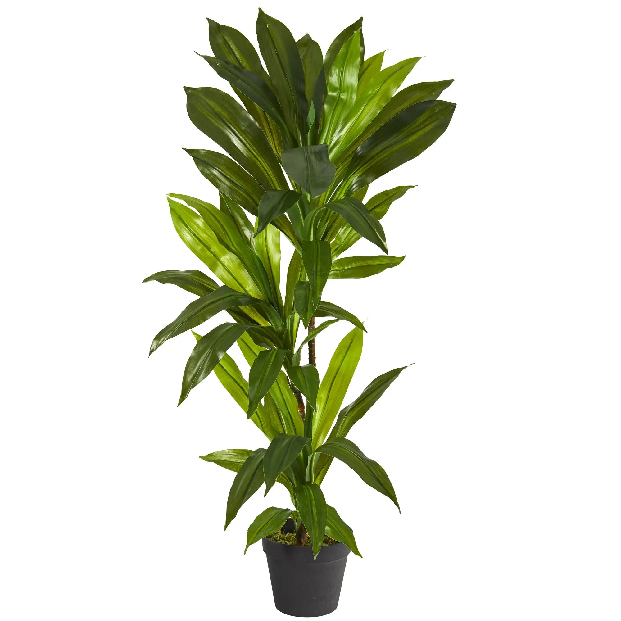 Nearly Natural Green 3' Dracaena Artificial Plant (Real Touch) Hand C Mart