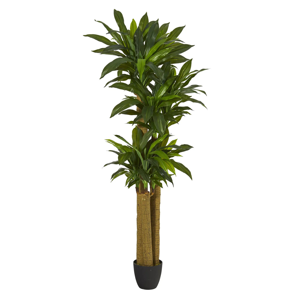 Nearly Natural Green 6' Corn Stalk Dracaena Artificial Plant (Real Touch) Hand C Mart