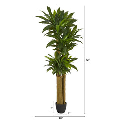 Nearly Natural Green 6' Corn Stalk Dracaena Artificial Plant (Real Touch) Hand C Mart